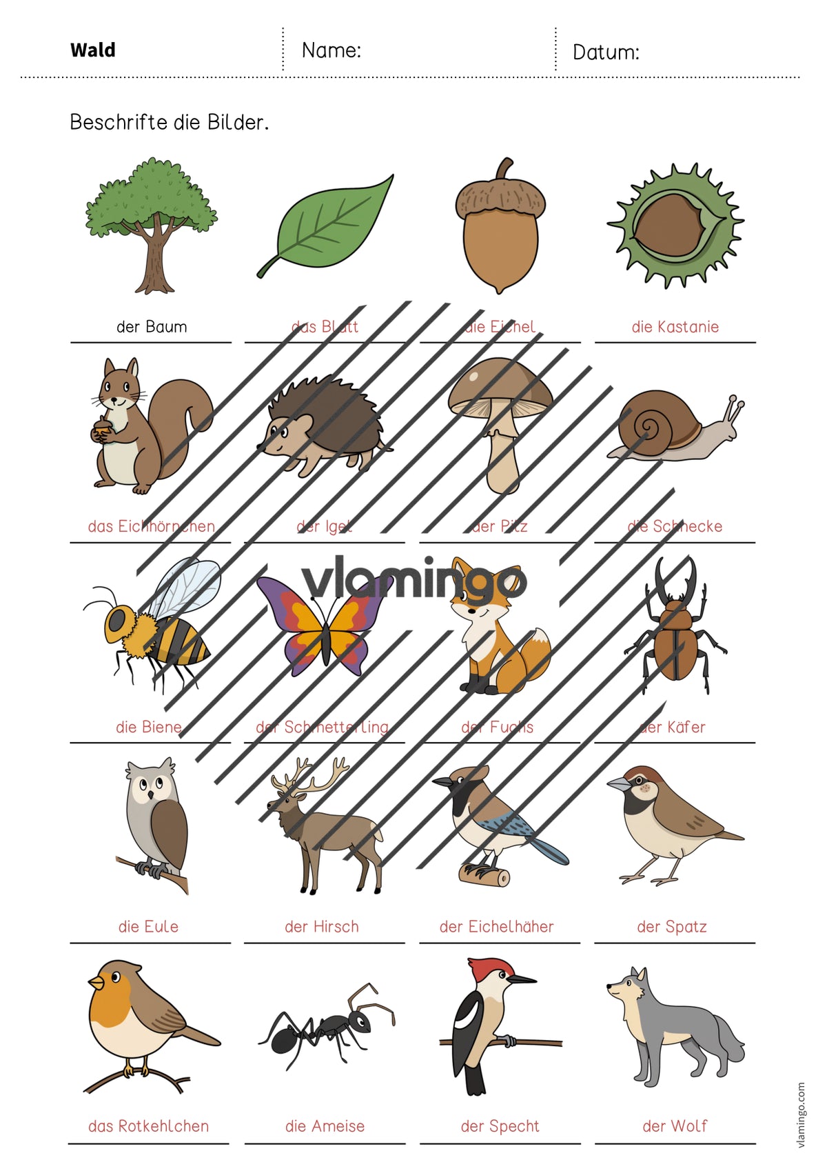 de deutsch wald vokabelarbeitsblatt 1 012