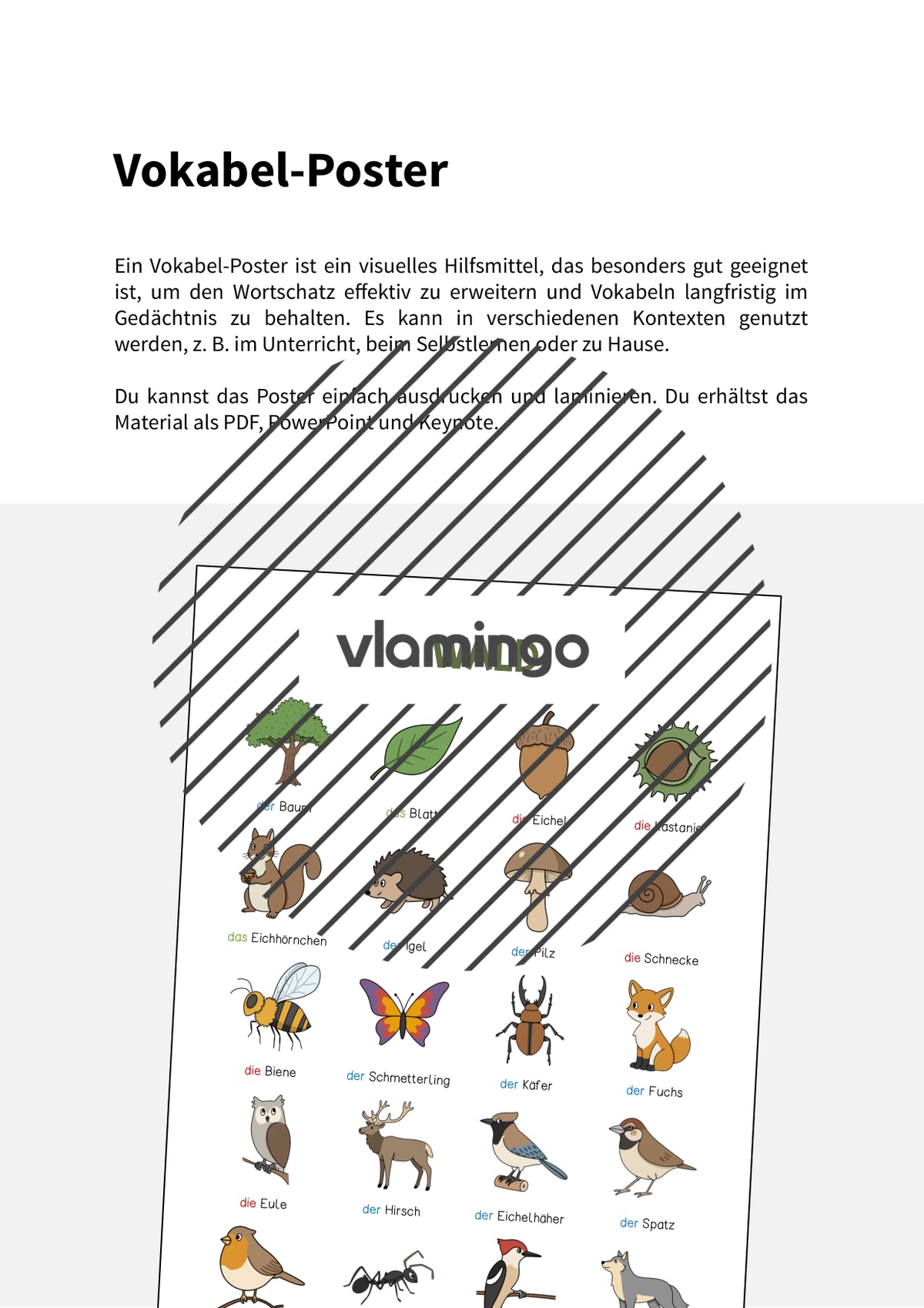 de deutsch wald vokabelposter 002