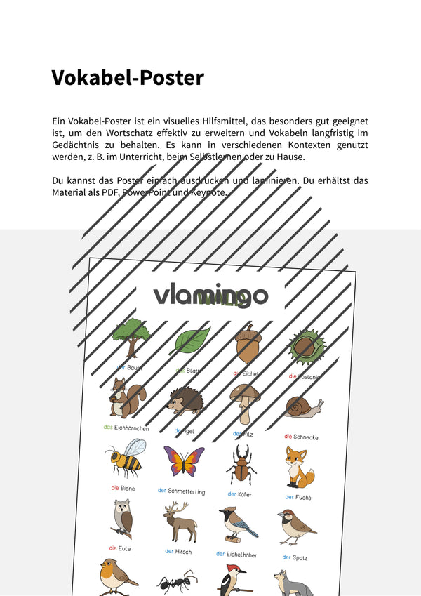 de deutsch wald vokabelposter 002