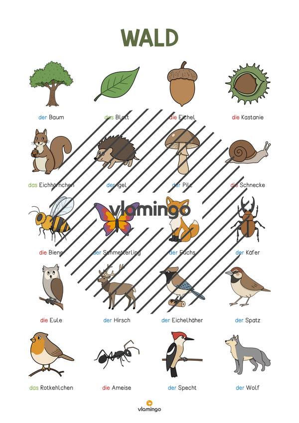 de deutsch wald vokabelposter 003
