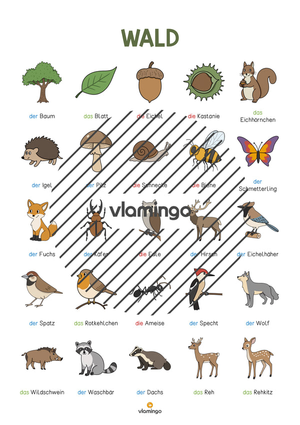 de deutsch wald vokabelposter 004