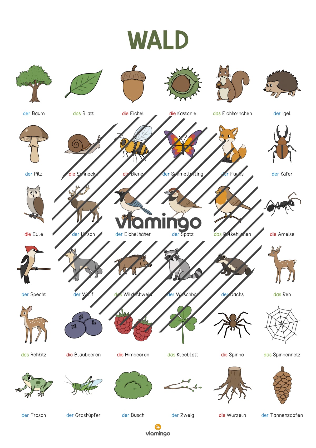 de deutsch wald vokabelposter 005