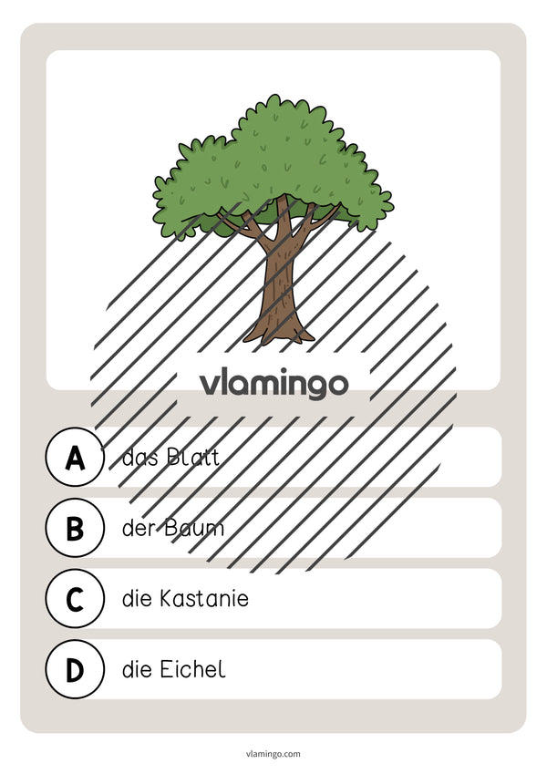 de deutsch wald vokabelquiz 005