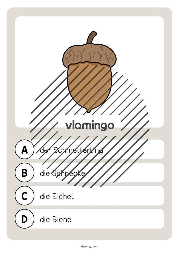 de deutsch wald vokabelquiz 009
