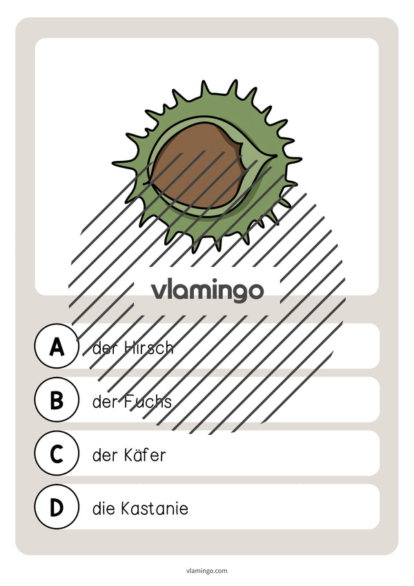 de deutsch wald vokabelquiz 011