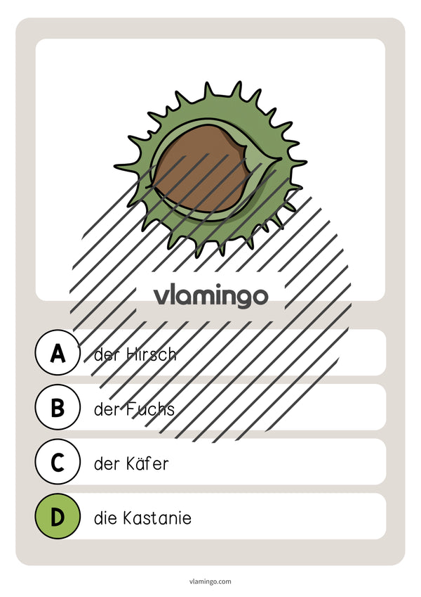 de deutsch wald vokabelquiz 012