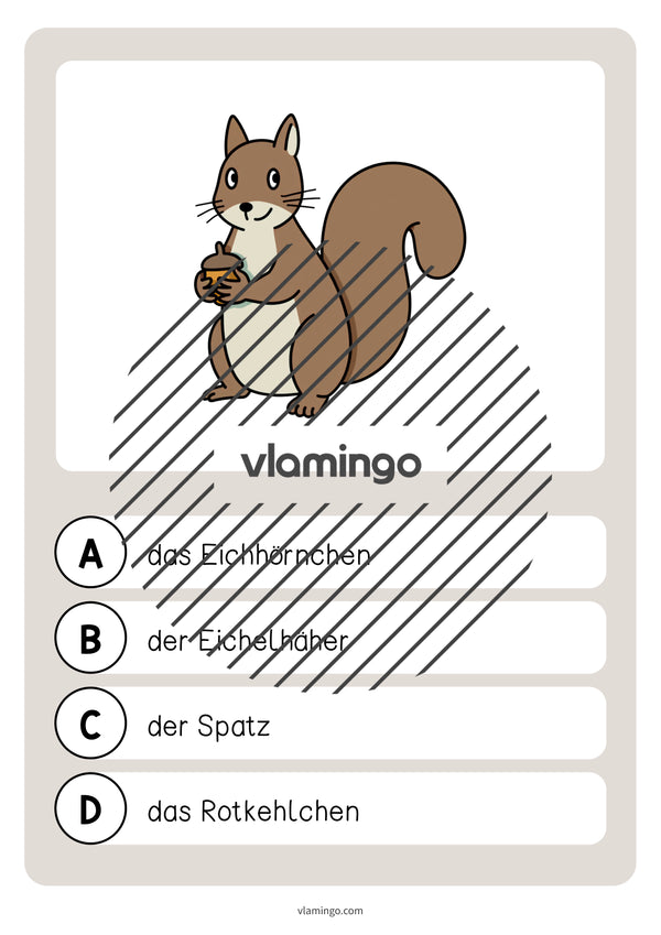 de deutsch wald vokabelquiz 013