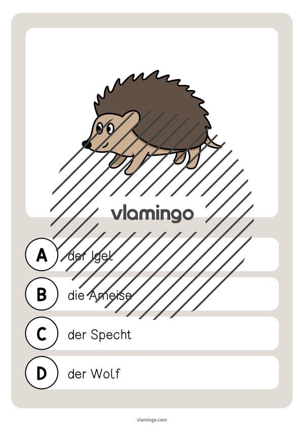 de deutsch wald vokabelquiz 015