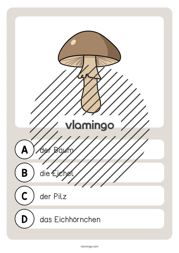 de deutsch wald vokabelquiz 017