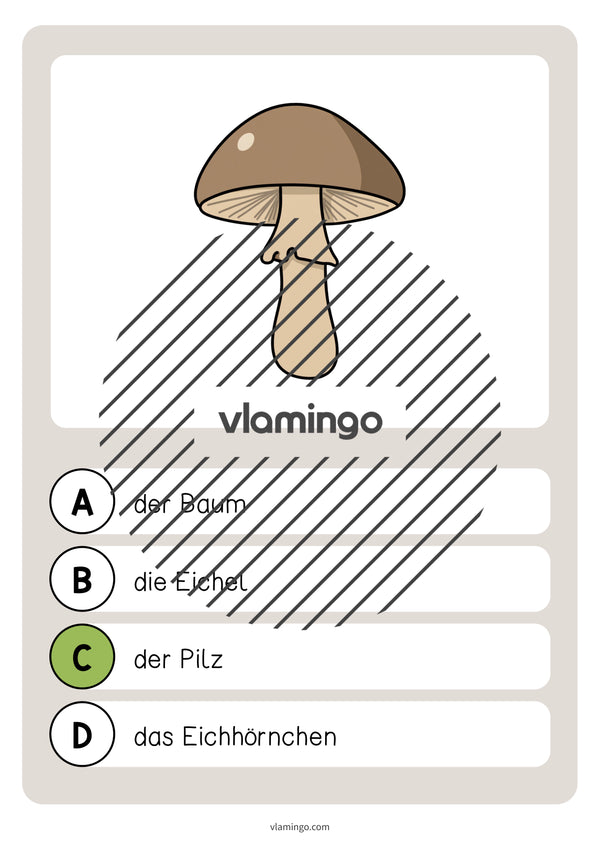 de deutsch wald vokabelquiz 018