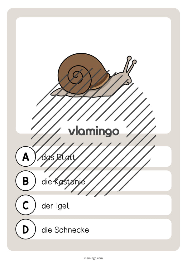 de deutsch wald vokabelquiz 019