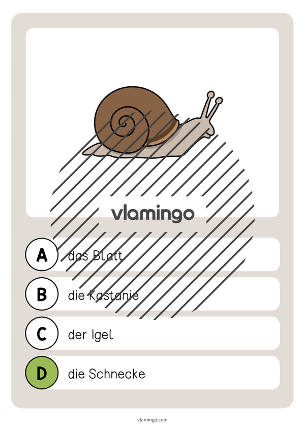 de deutsch wald vokabelquiz 020