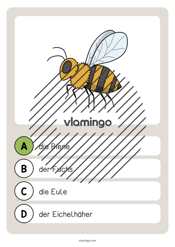de deutsch wald vokabelquiz 022