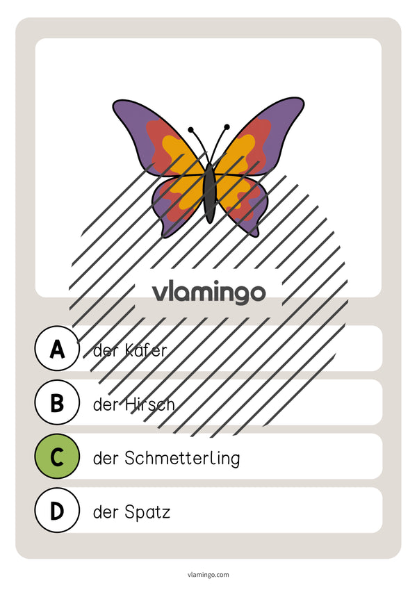 de deutsch wald vokabelquiz 024