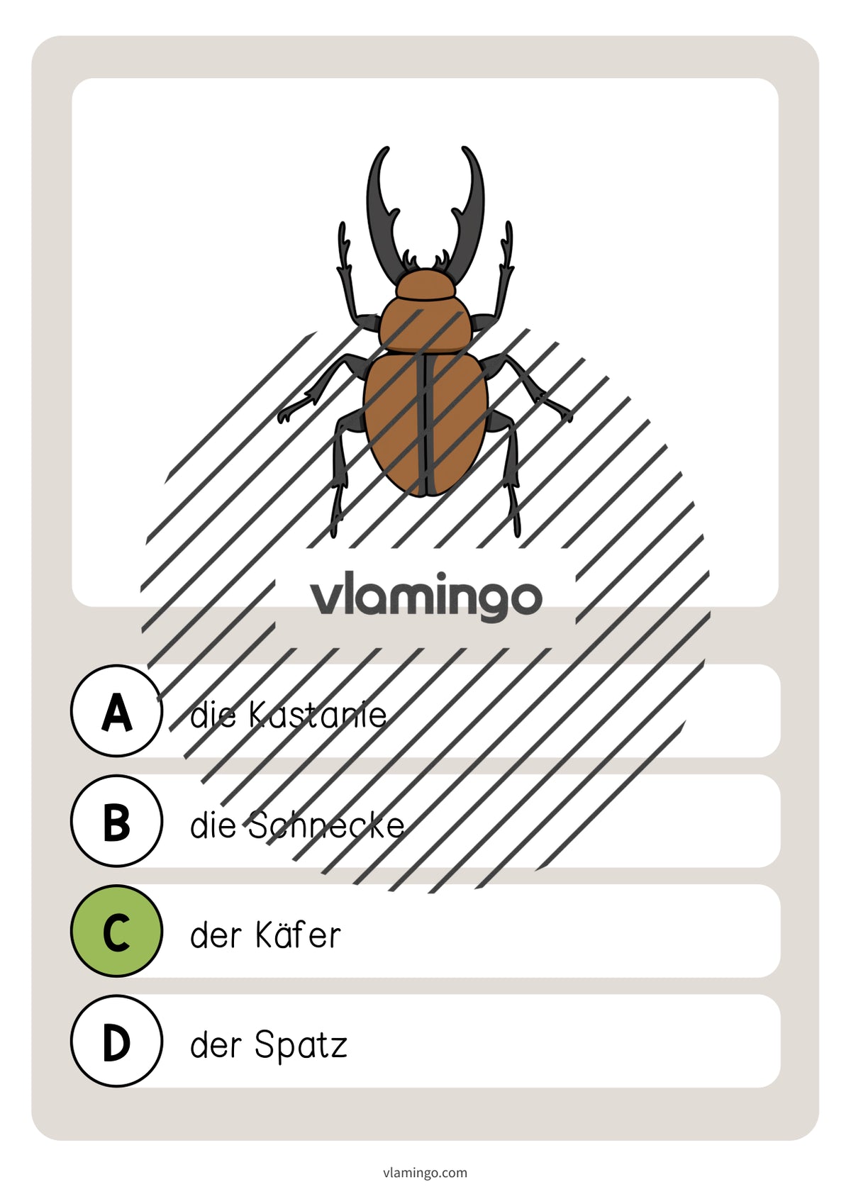 de deutsch wald vokabelquiz 028