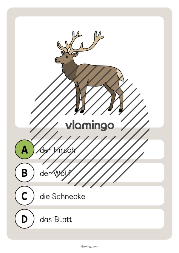 de deutsch wald vokabelquiz 032