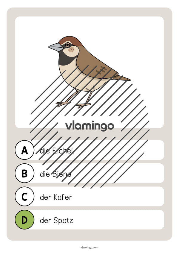 de deutsch wald vokabelquiz 036