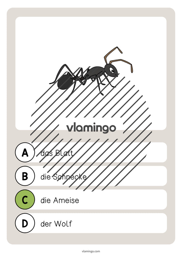 de deutsch wald vokabelquiz 040
