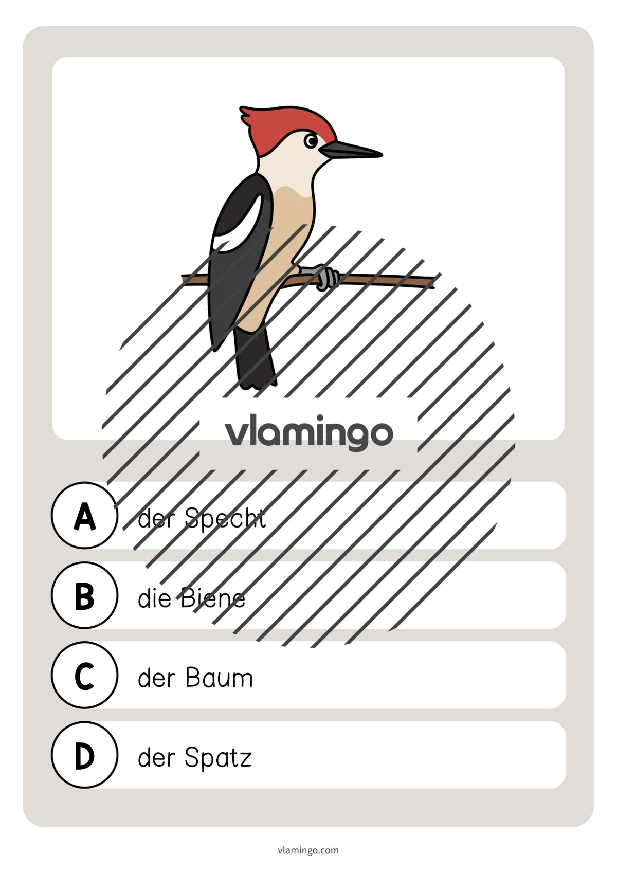de deutsch wald vokabelquiz 041