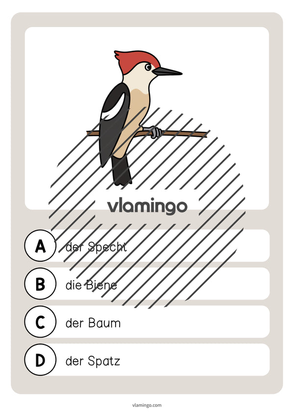 de deutsch wald vokabelquiz 041