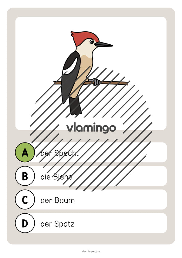 de deutsch wald vokabelquiz 042