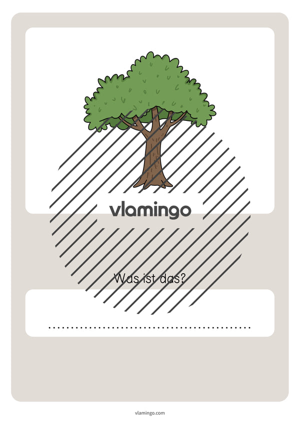 de deutsch wald vokabelquiz 046