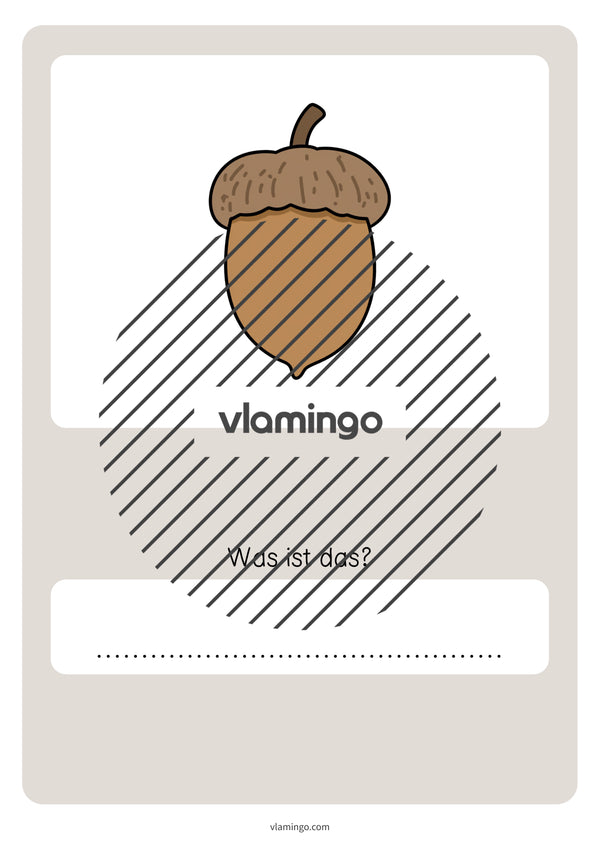 de deutsch wald vokabelquiz 050
