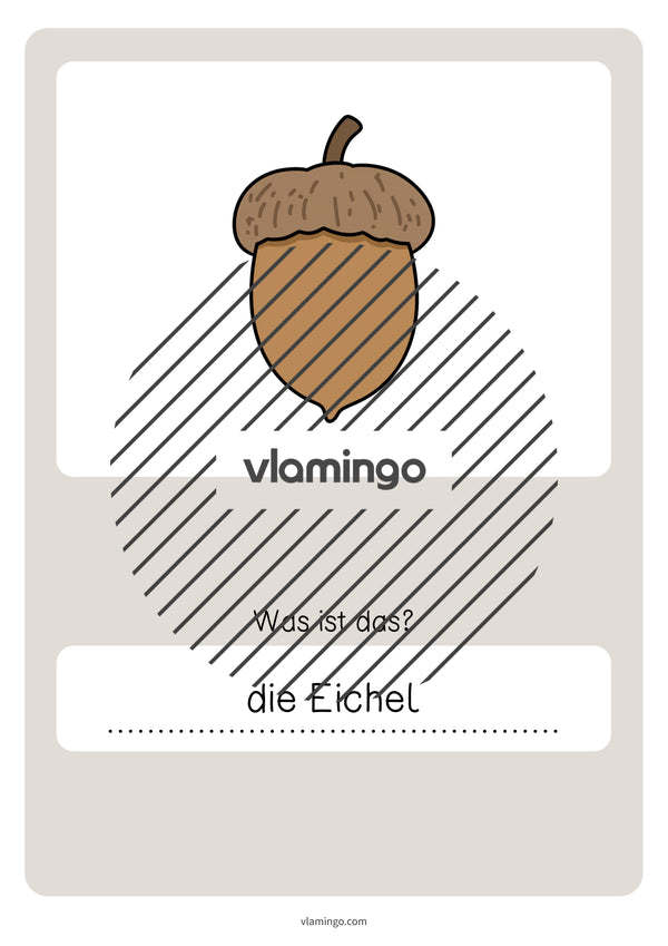 de deutsch wald vokabelquiz 051