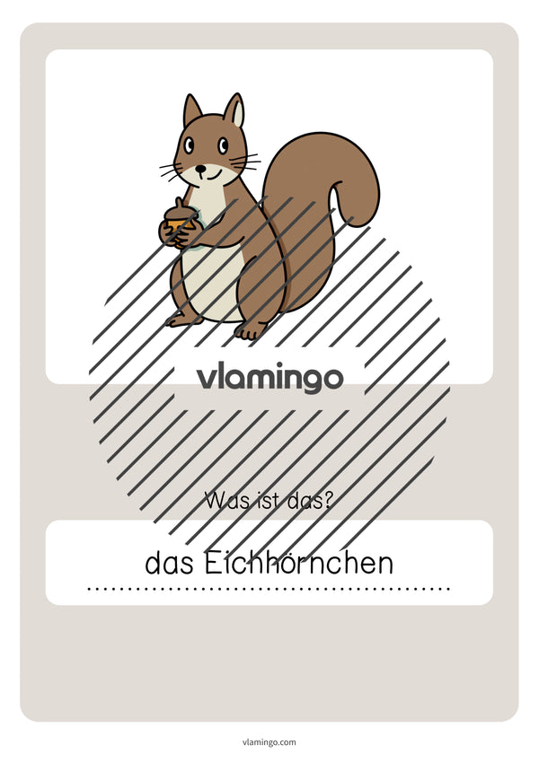 de deutsch wald vokabelquiz 055
