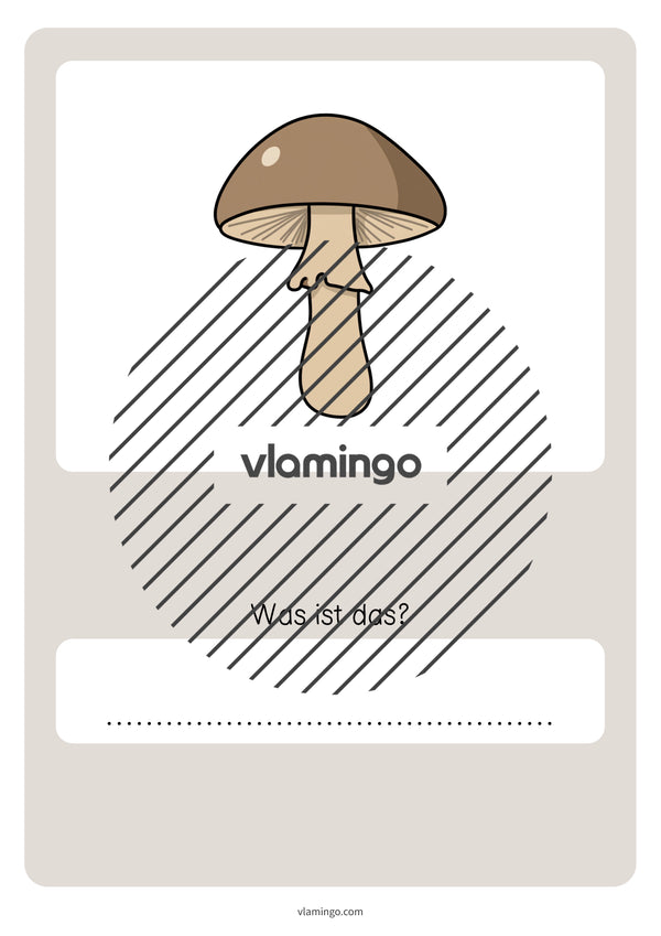 de deutsch wald vokabelquiz 058