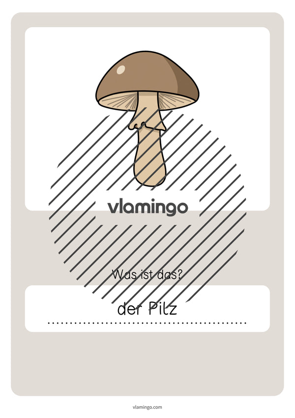 de deutsch wald vokabelquiz 059