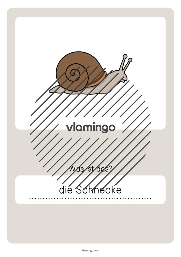 de deutsch wald vokabelquiz 061