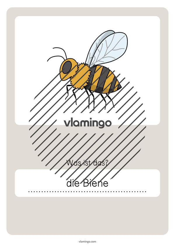 de deutsch wald vokabelquiz 063
