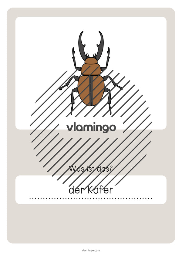 de deutsch wald vokabelquiz 069