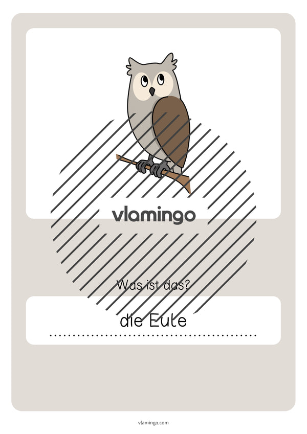 de deutsch wald vokabelquiz 071