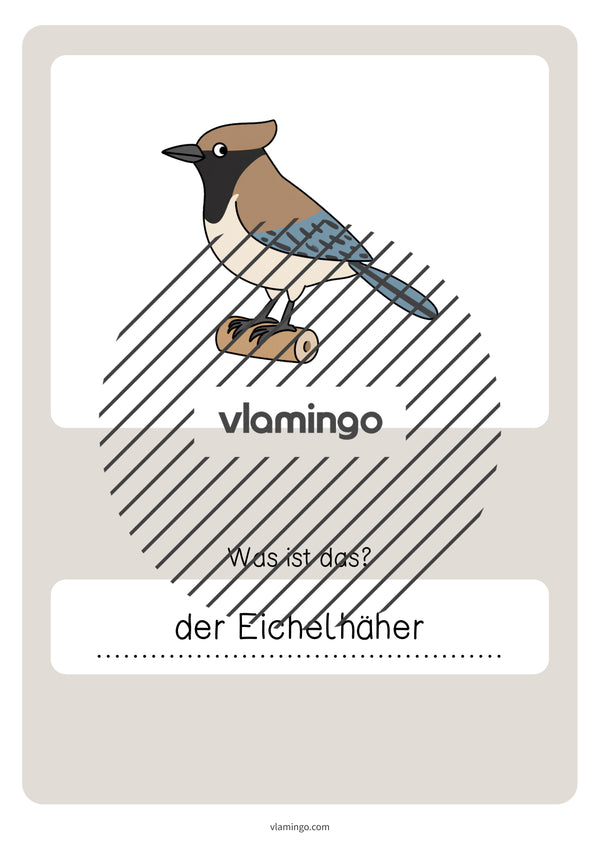 de deutsch wald vokabelquiz 075