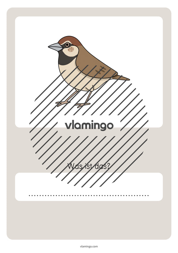 de deutsch wald vokabelquiz 076