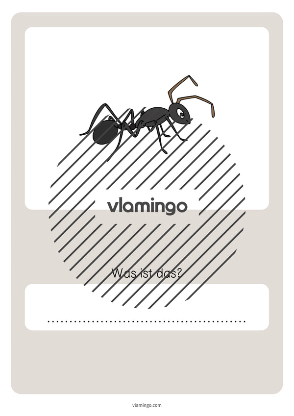 de deutsch wald vokabelquiz 080
