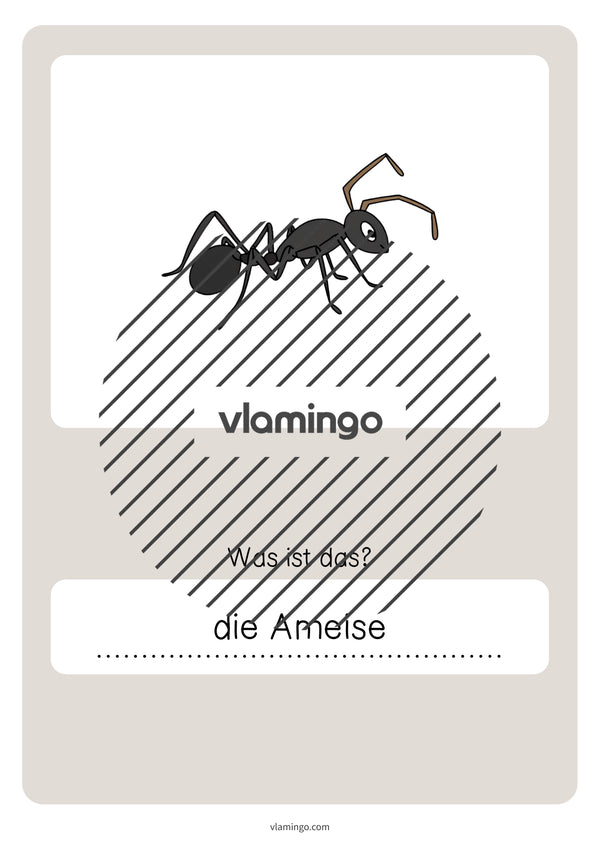 de deutsch wald vokabelquiz 081