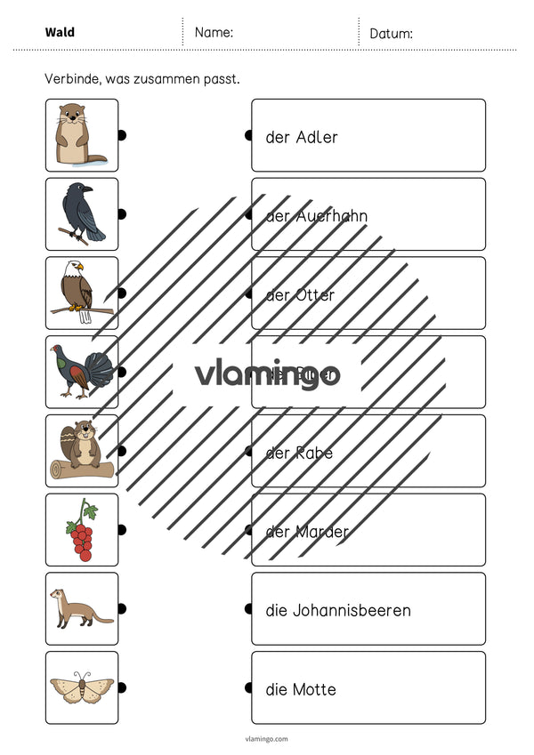 de deutsch wald was passt zusammen 2 010