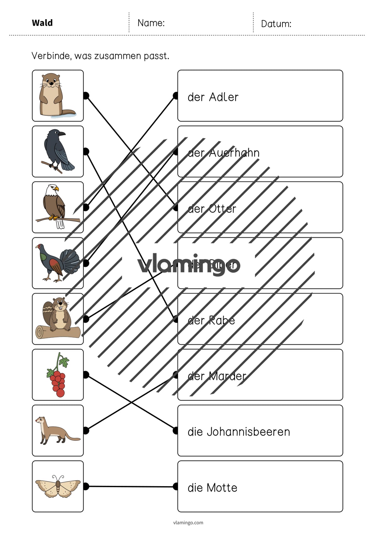 de deutsch wald was passt zusammen 2 019