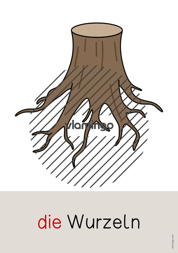 de deutsch wald wort und bildkarten 037
