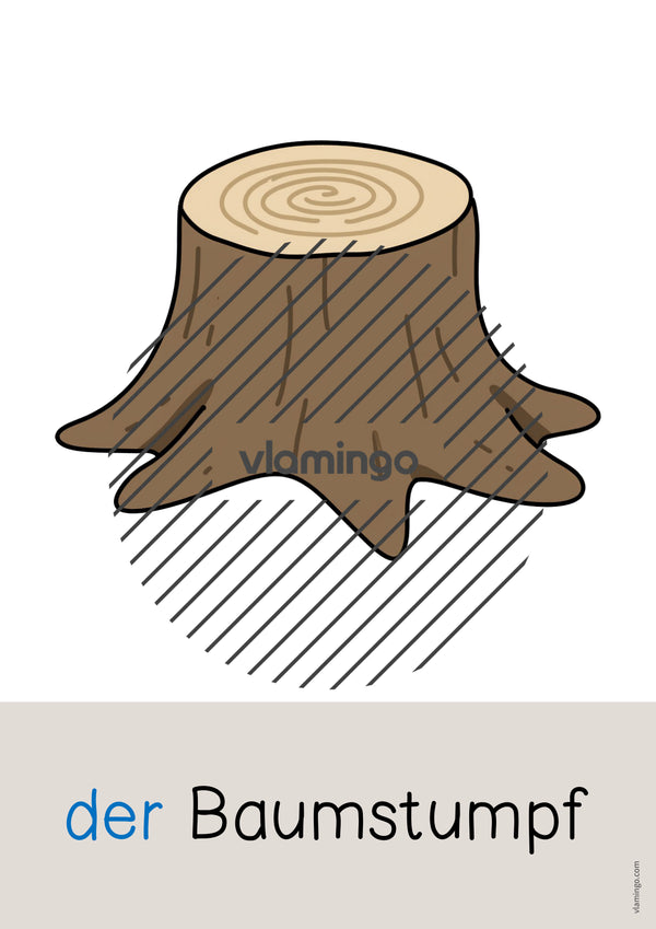 de deutsch wald wort und bildkarten 039
