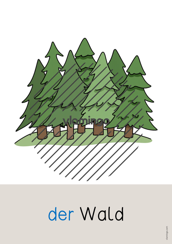 de deutsch wald wort und bildkarten 042