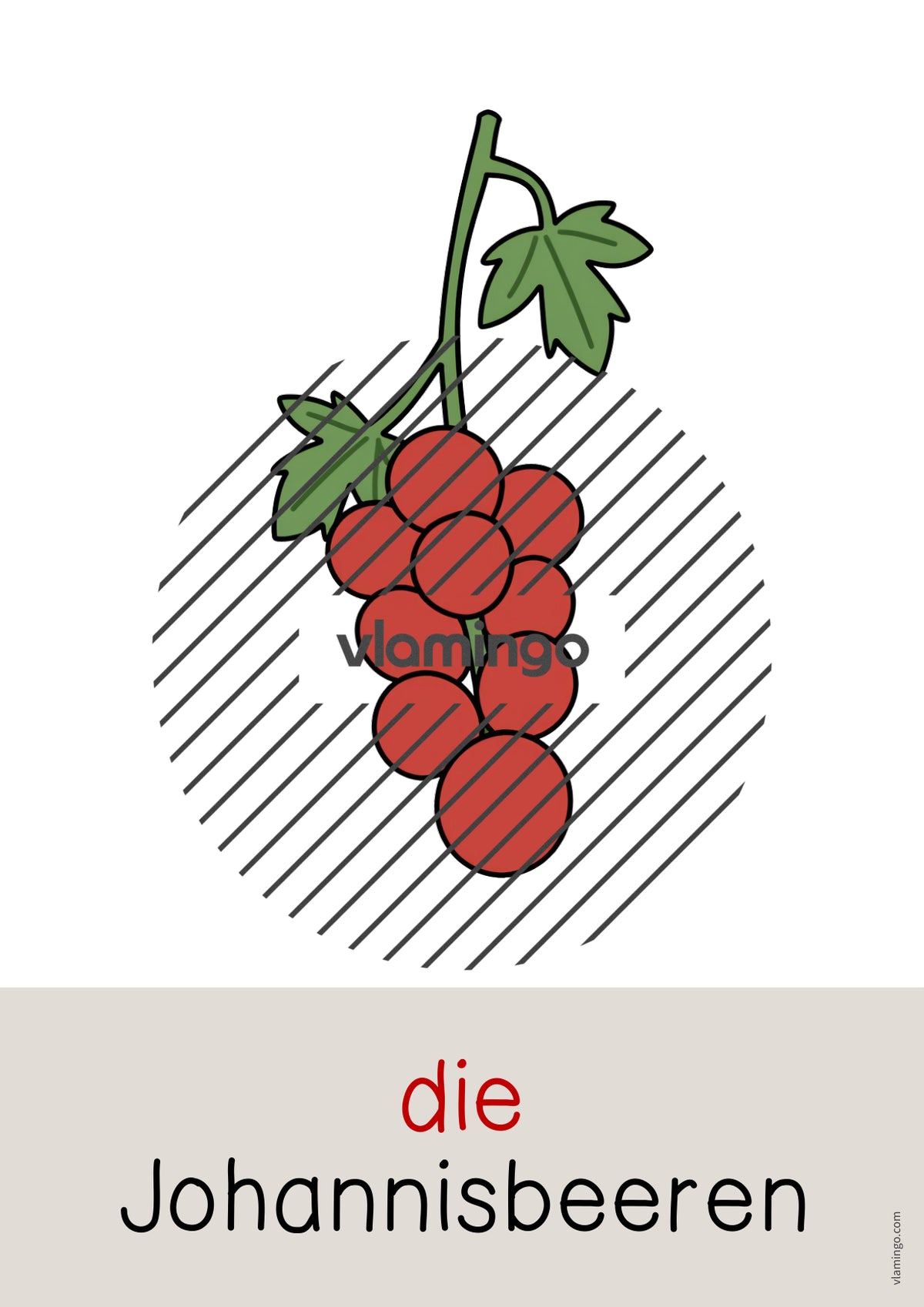 de deutsch wald wort und bildkarten 064