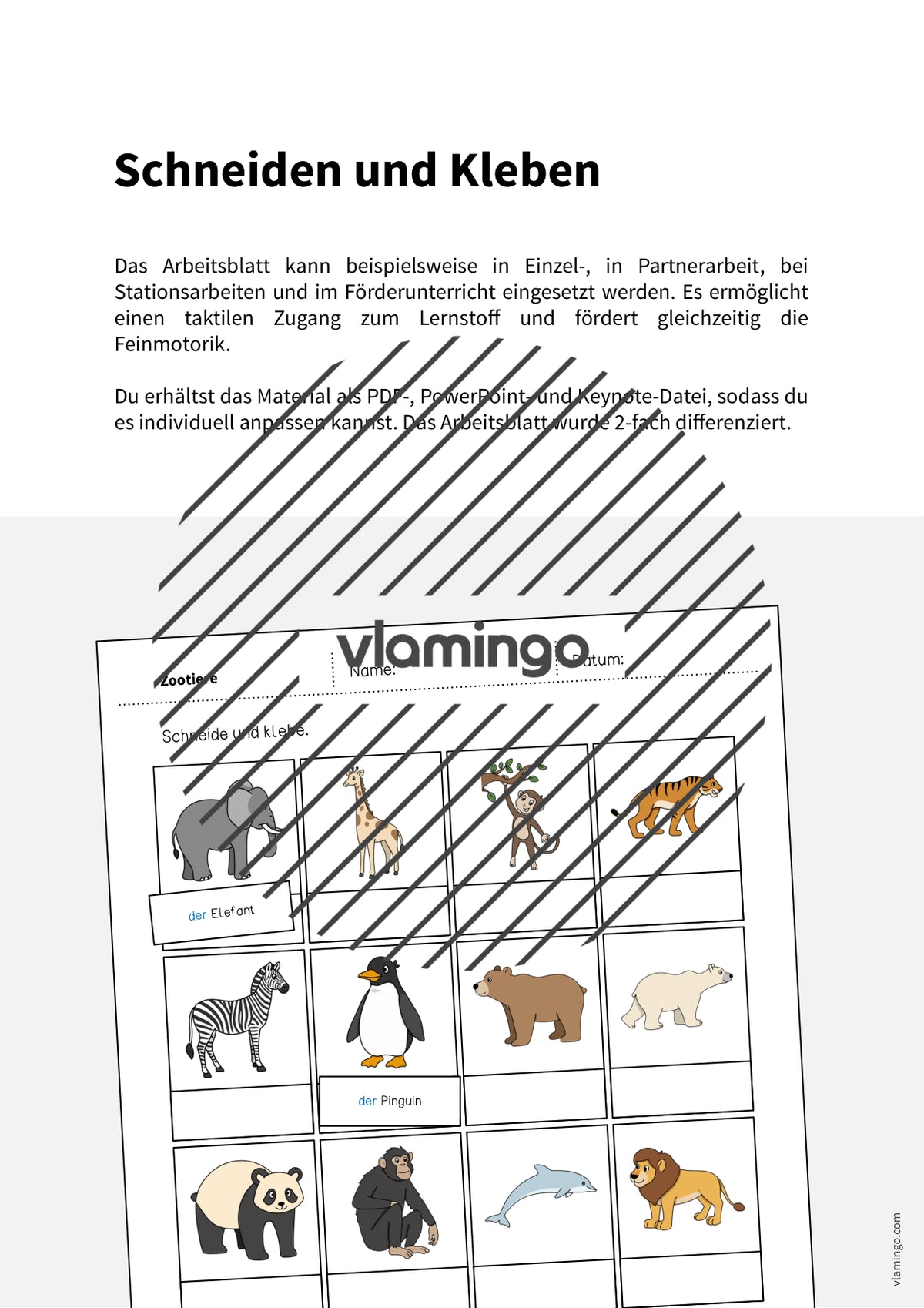 de deutsch zootiere schneiden und kleben 002