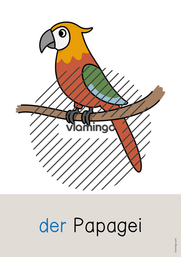 de deutsch zootiere wort und bildkarten 018