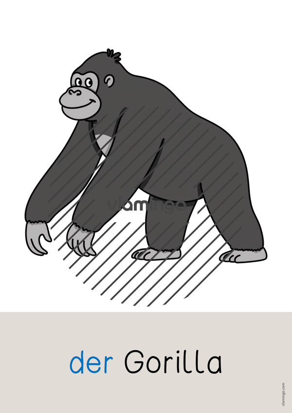 de deutsch zootiere wort und bildkarten 022