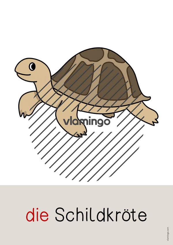 de deutsch zootiere wort und bildkarten 024