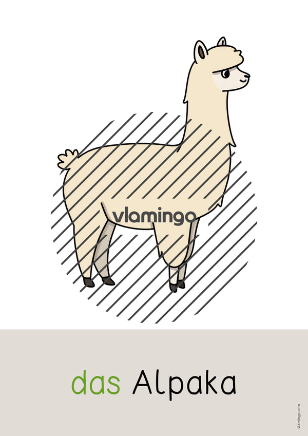 de deutsch zootiere wort und bildkarten 040